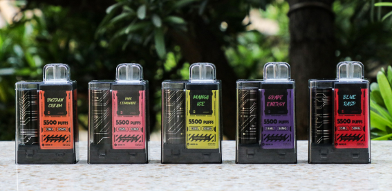 Vapengin 5500 Puff Disposable Device 5% Nic - Image 2