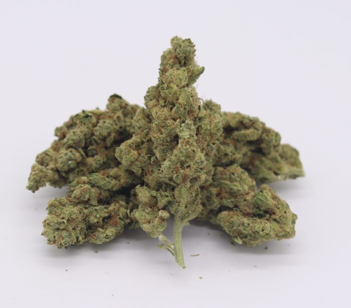 Bloomz Premium THCA Flowers - Image 5