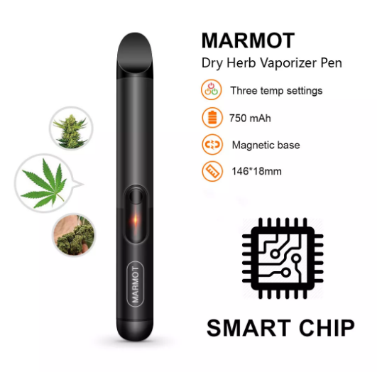 ATMAN Marmot Dry Herb Vaporizer Pen